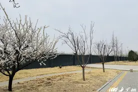 潍坊峡山区着力打造“精致和美 近悦远来”田园城市新名片图片