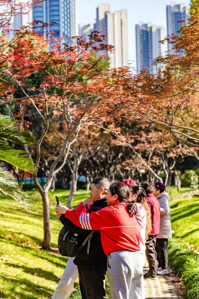 在江汉，听见公园里的秋色私语