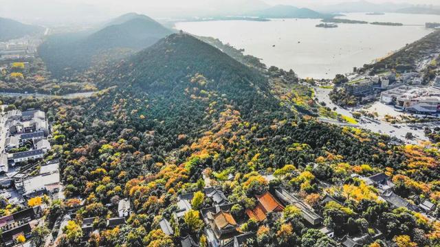 佳文悦览 | 变单一林相为多彩画卷 生态修复促进云龙湖景观品质提升