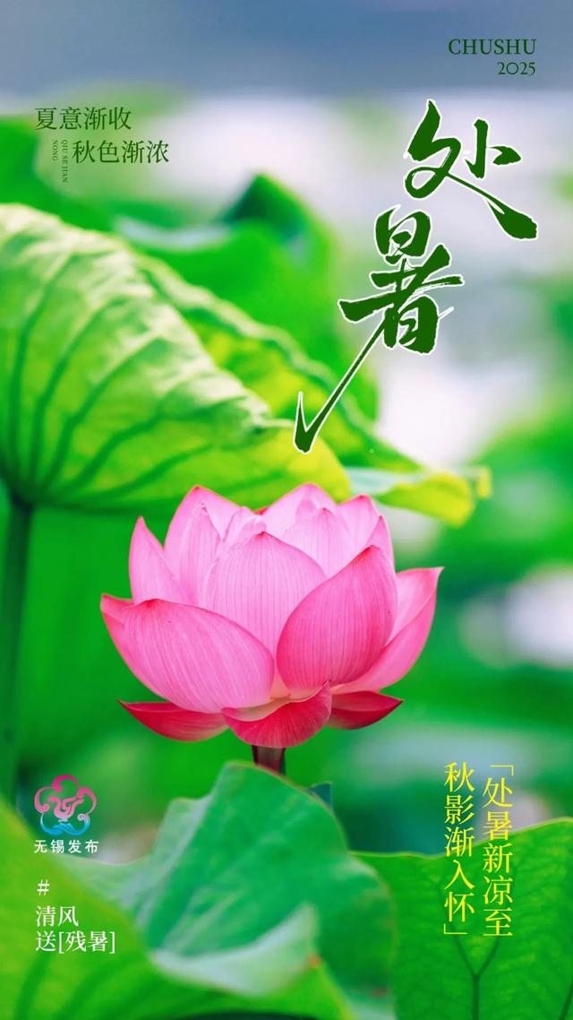 无锡地标，大有甜头