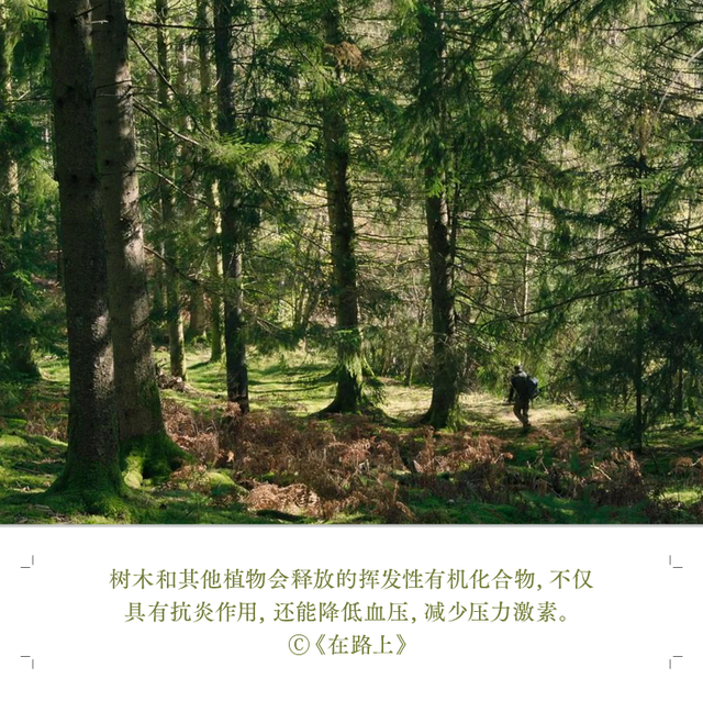 走。