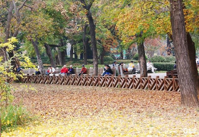 街角的光影、海边的风、林间的静谧……Mark秋日限定诗意