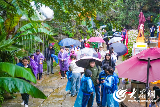 秋光如颂 全景淄博 | 红叶柿岩首创“赌”雨活动 几场秋雨见证文旅真诚