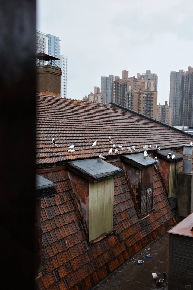 烟雨市北~不必赴江南，雨落此间即诗意