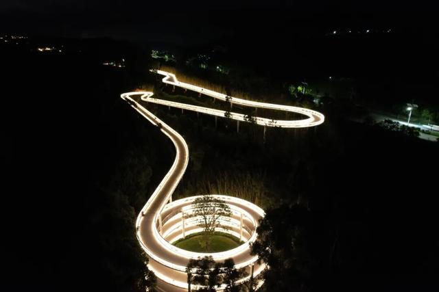 滇池绿道亮灯 点亮温柔夜色