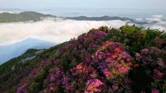 藏不住了！奉化这两条线路全省推荐！