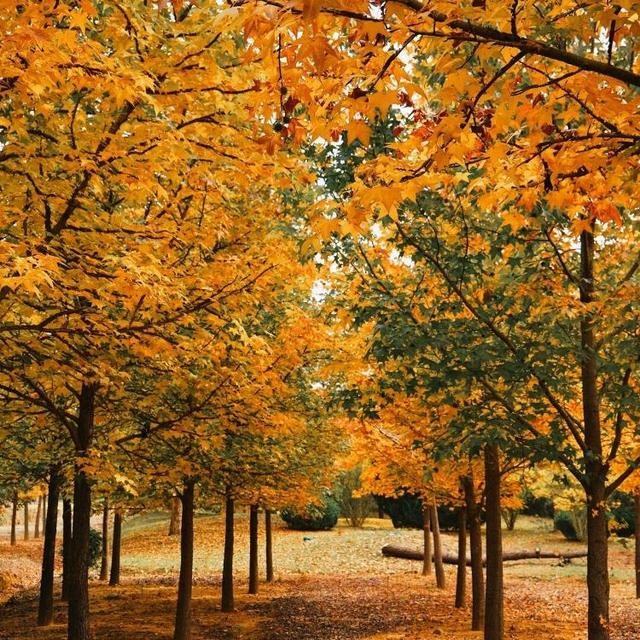 【乳山文旅福利】持乳山南站高铁票，这些景区门票优惠轻松享！