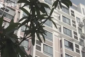 世博家园大修 首批街坊已焕新图片