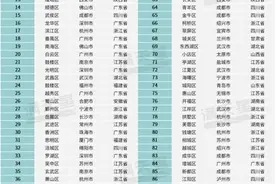 武汉市洪山区再上榜赛迪创新百强区图片