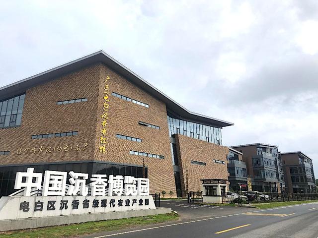 免费报名 | 〖跟着茂马游茂名〗福利专车即将发车！限时抢位→