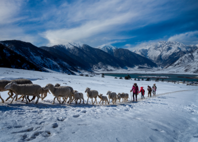 雪润凉山 | 一景一诗，一城一画