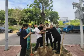 共建共育 绿美莲花③图片
