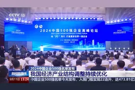 数据之外 专家带你读懂“2024中国企业500强”名单图片
