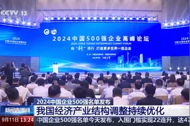 数据之外 专家带你读懂“2024中国企业500强”名单图片