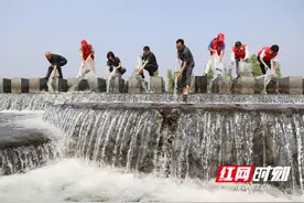 永州：践行“增殖放流” 护渔“久久为功”图片