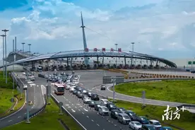 “湾区游”折射湾区发展图景之变图片