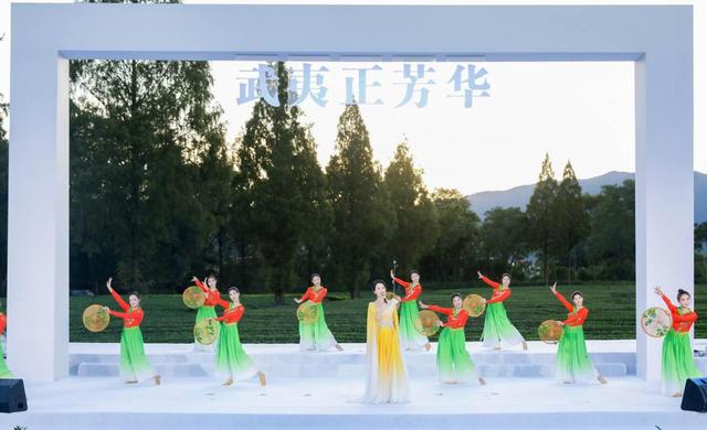 “三茶”统筹展新韵 人在草木品芳华 2025武夷山茶园文化季暨两山青年嘉年华在福建武夷山举行