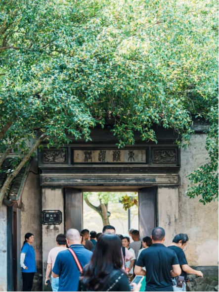欢聚吴江· “香”遇桂花季丨上线了！吴江赏桂地图！