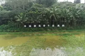 博鳌空中之旅｜瞰独特和美乡村图片