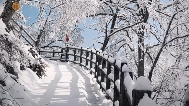 “洛阳怎么一下雪，就封神。”
