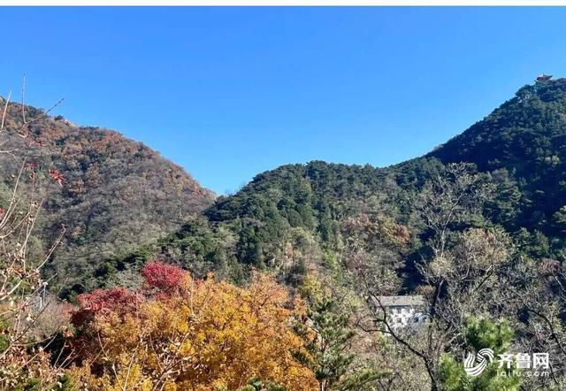 组图丨一大波美图来袭！泰山景区9个赏秋地超出片