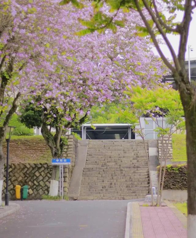 要开学啦！这些三明高校隐藏美景，还不来吗？