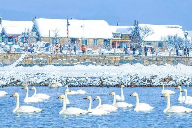 雪落山海，一城冬色入画来~