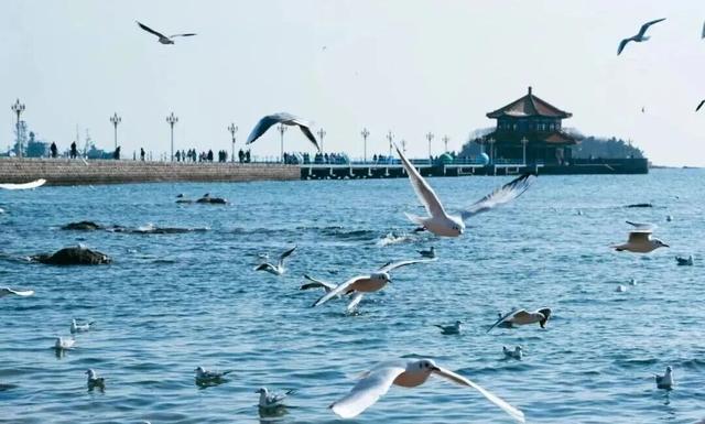 山东高铁“齐鲁游”旅游计次票再升级！一票畅行，自由探索好客山东