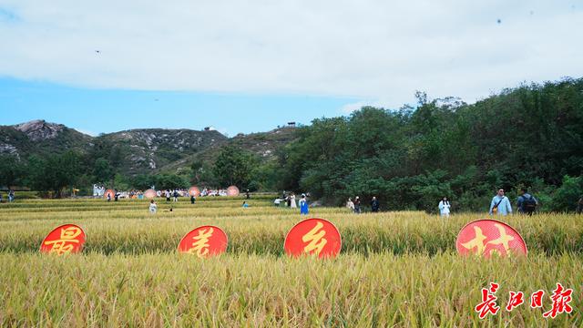 600岁大余湾焕发魅力，短剧剧组络绎不绝争相取景