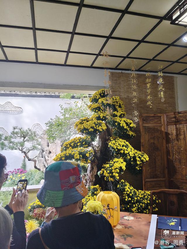 晚潮｜秋丛绕舍似陶家