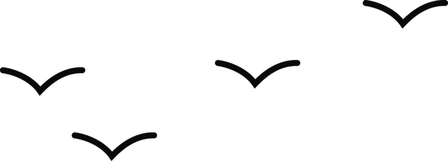 滴！重阳暖心免票福利→这张秋日『头等舱』车票请签收！