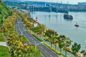 长江宜昌段江豚家族喜添丁图片