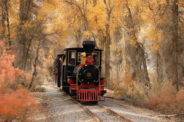 江西这些景区，今天免票！