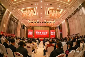 六项结构调整，杨明超点题宋河酒业核心价值图片
