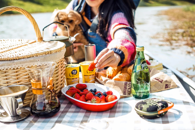 域见上海·域见奉贤｜海湾国家森林公园最新红杉实拍已送达，还有更多攻略等你来看！