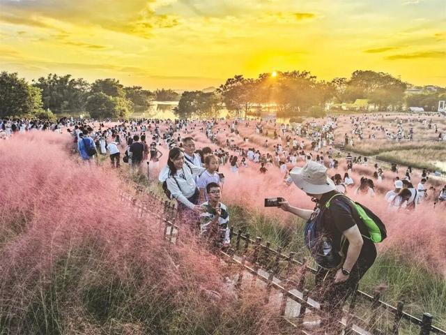 实力圈粉！双节假期南宁文旅“满堂红”，接待游客928.74万人次
