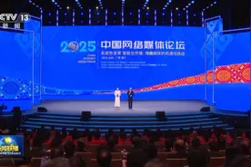 2025中国网络媒体论坛开幕图片