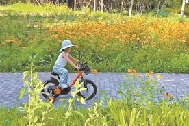 写作｜人到中年拼流量图片