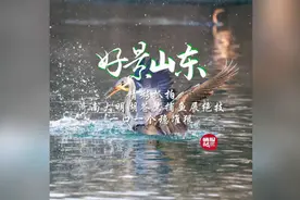 果然视频·好景山东|济南大明湖苍鹭捕鱼展绝技，一口一个稳准狠图片