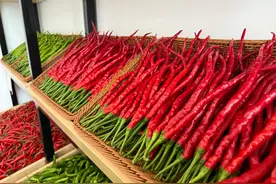 “傲椒” 的湖南 “辣”可不一般图片