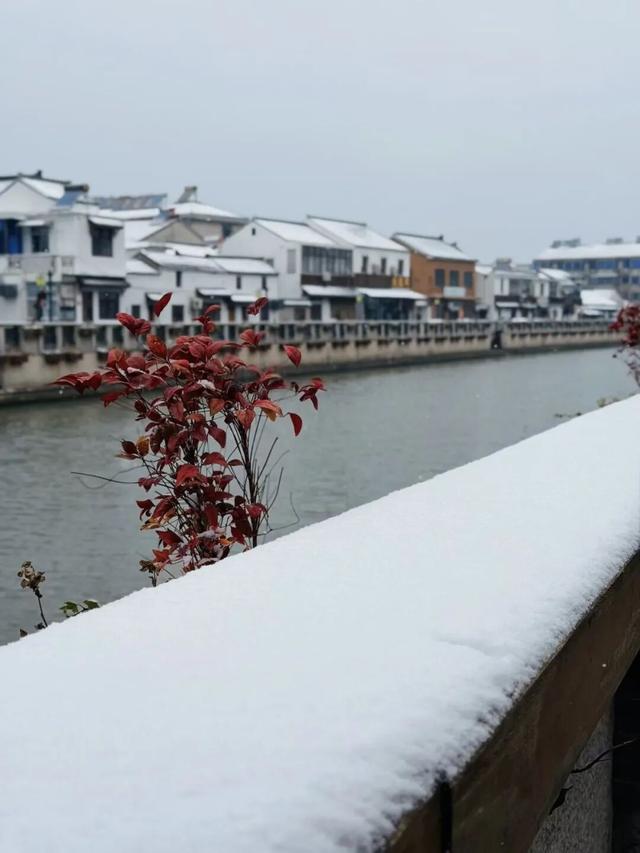 宜兴一下雪，就美成了阳羡！