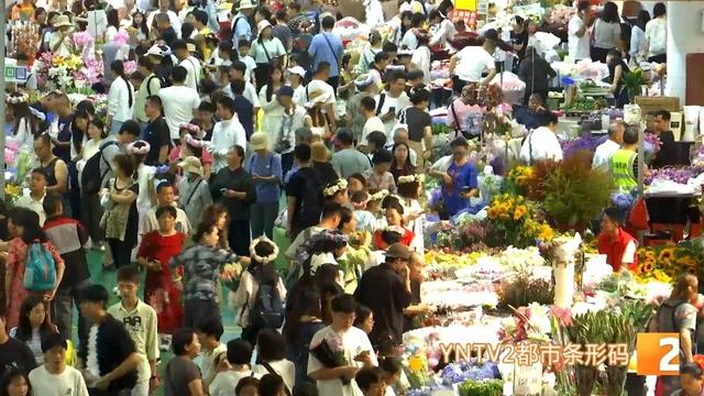 外地高温40℃，云南还要穿长裤，来感受独一份清凉