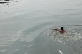 刚到苏州不足半小时，淄博男子跳河救起落水小伙图片