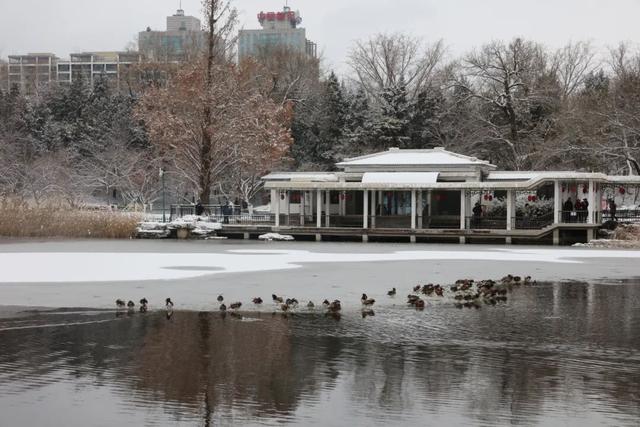 北京全城等雪来！故宫约不上？这些地方随手一拍也是大片——