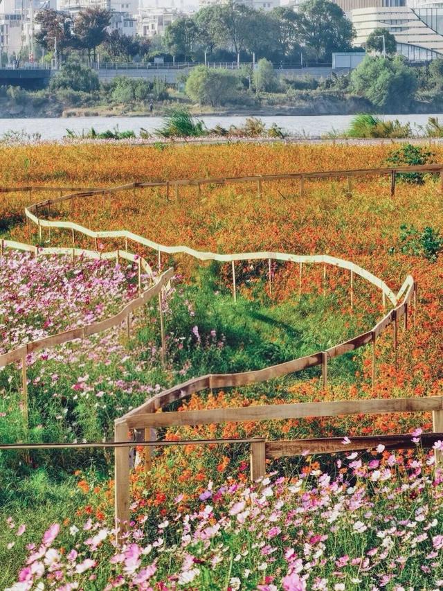 江西的美，不止“风花雪月”！