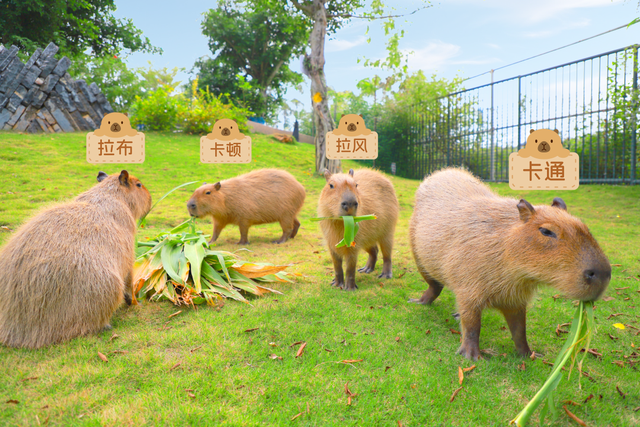 跟着节气来打卡 | 今日立冬，美好正当时！来南宁收藏一帧初冬的浪漫画卷