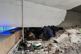 多部门联合行动，共治桥下“灰色地带”→图片