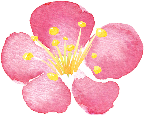 “银”客天下 “杏”福秦州丨天水黄金大道汉服节活动华彩启幕