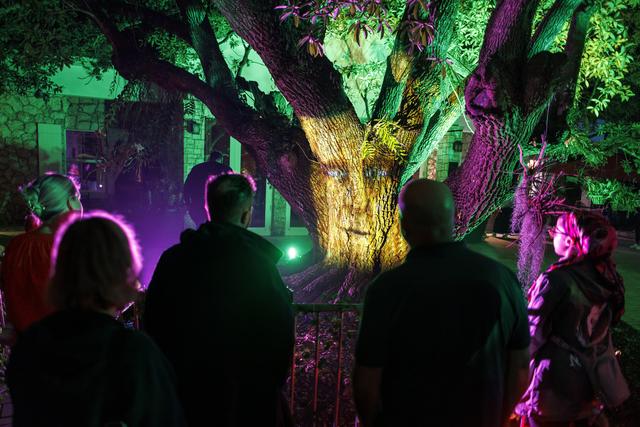 （外代二线）“夜间公园”灯光秀