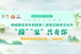 “颜”“梨”只有你  颜庄梨花节浪漫之约 共赴一场春天的花事图片